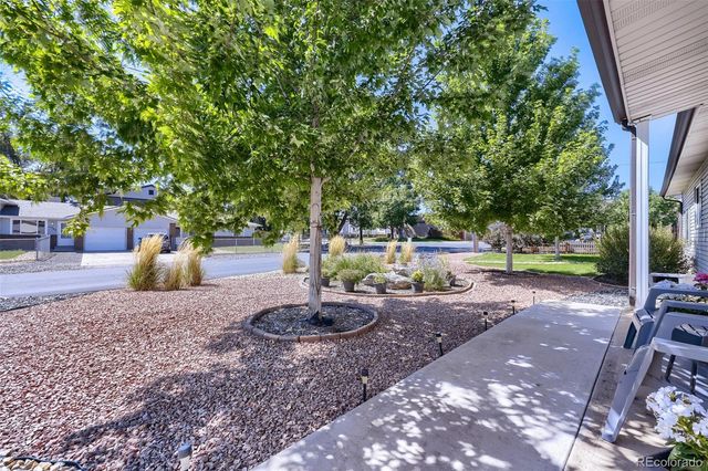 11781 W 46th Avenue, Wheat Ridge, CO 80033