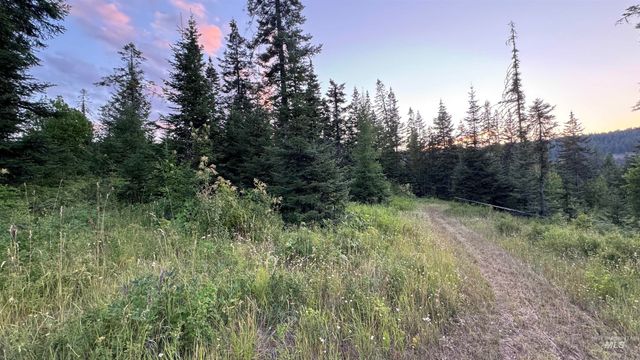 1156 Huckleberry Butte Rd, Orofino, ID 83530