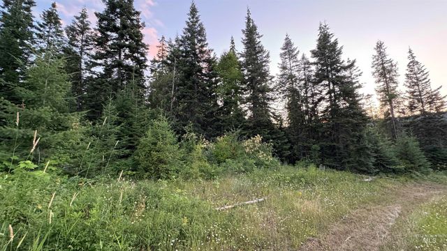 1156 Huckleberry Butte Rd, Orofino, ID 83530