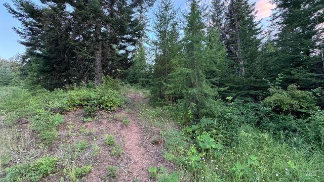 1156 Huckleberry Butte Rd, Orofino, ID 83530