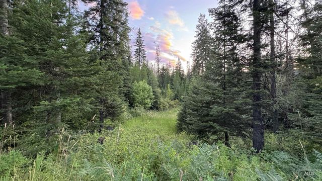 1156 Huckleberry Butte Rd, Orofino, ID 83530