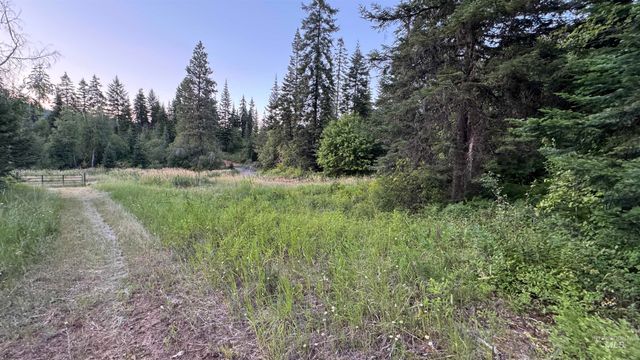1156 Huckleberry Butte Rd, Orofino, ID 83530