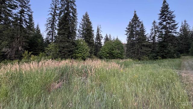 1156 Huckleberry Butte Rd, Orofino, ID 83530