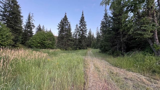 1156 Huckleberry Butte Rd, Orofino, ID 83530