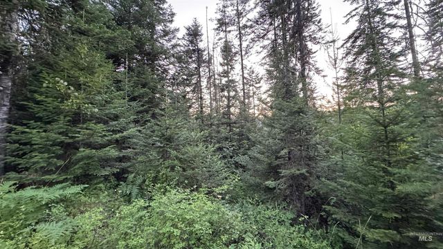 1156 Huckleberry Butte Rd, Orofino, ID 83530