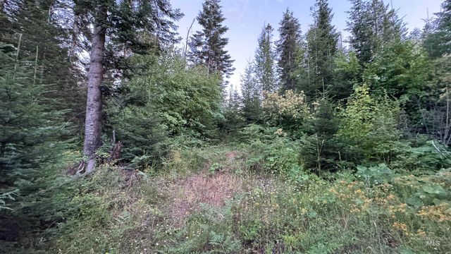 1156 Huckleberry Butte Rd, Orofino, ID 83530