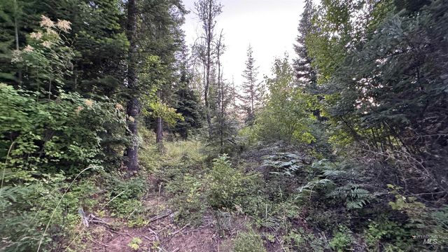 1156 Huckleberry Butte Rd, Orofino, ID 83530