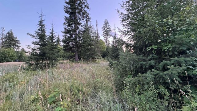 1156 Huckleberry Butte Rd, Orofino, ID 83530