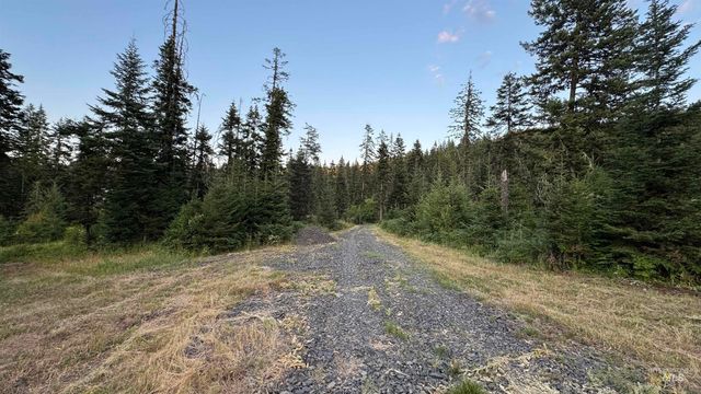 1156 Huckleberry Butte Rd, Orofino, ID 83530