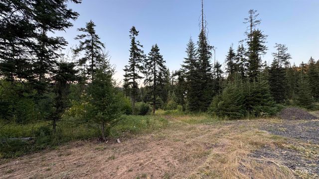 1156 Huckleberry Butte Rd, Orofino, ID 83530