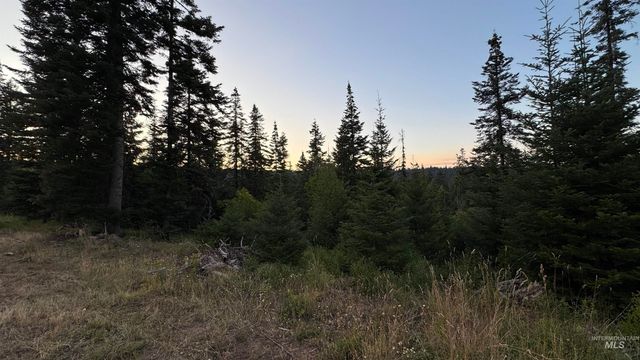 1156 Huckleberry Butte Rd, Orofino, ID 83530