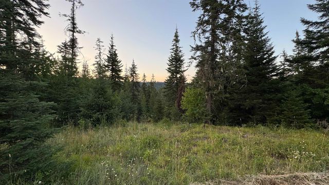 1156 Huckleberry Butte Rd, Orofino, ID 83530