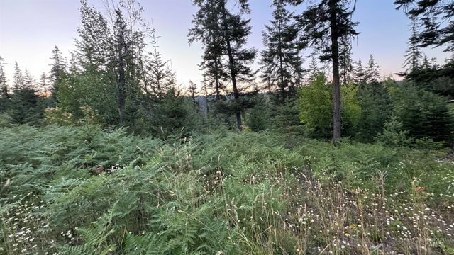 1156 Huckleberry Butte Rd, Orofino, ID 83530
