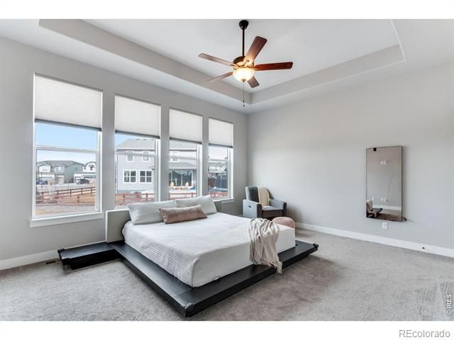 2078 Covered Bridge Parkway, Windsor, CO 80550