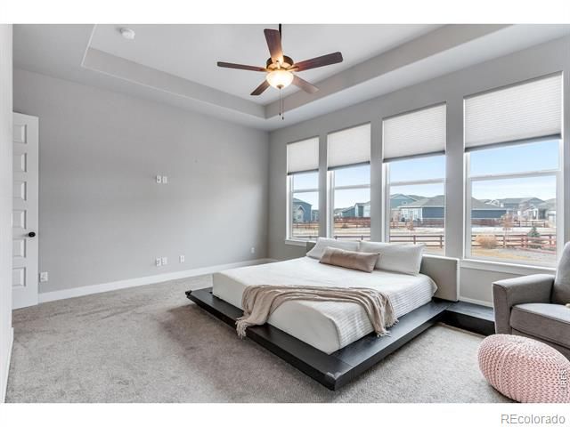 2078 Covered Bridge Parkway, Windsor, CO 80550