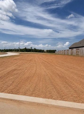 42850 Manzano Street, Magnolia, TX 77354