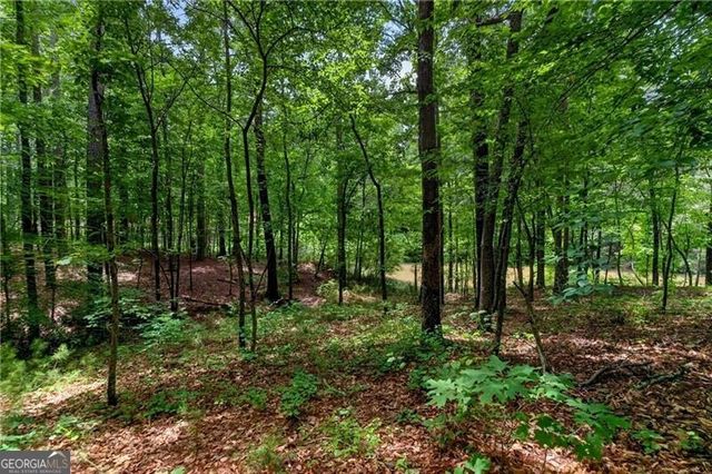 5365 Lake Redwine Cove, Acworth, GA 30101