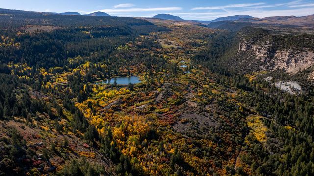 12590 Derby Mesa Loop, Burns, CO 80426