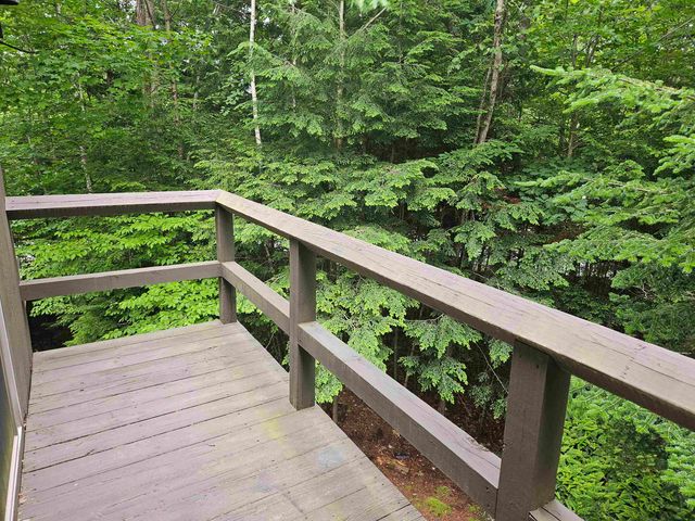 637 Marmot Lane, Grantham, NH 03753