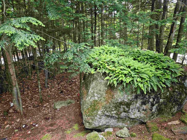 637 Marmot Lane, Grantham, NH 03753