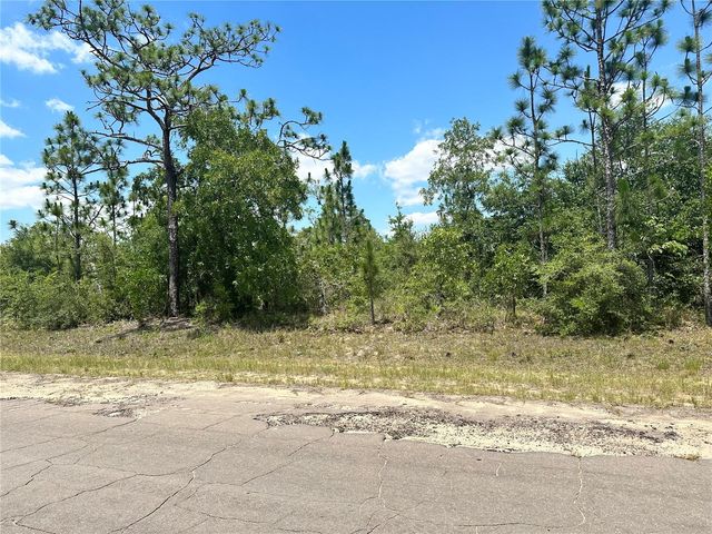 CAVALIER DRIVE, Chipley, FL 32428