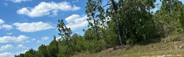 CAVALIER DRIVE, Chipley, FL 32428