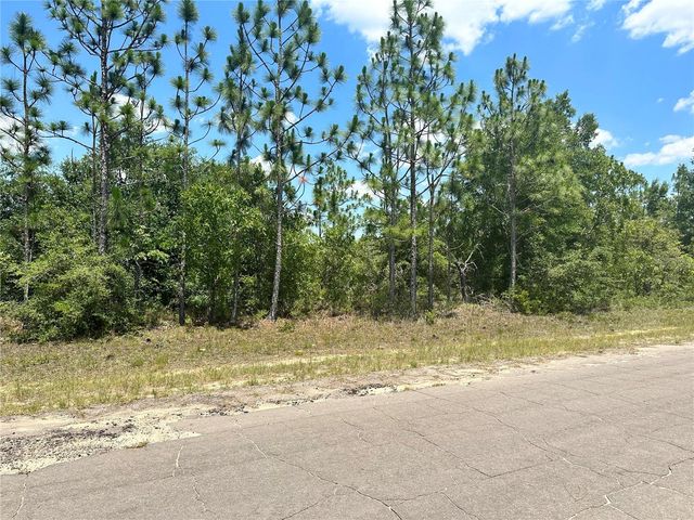 CAVALIER DRIVE, Chipley, FL 32428