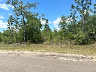 CAVALIER DRIVE, Chipley, FL 32428