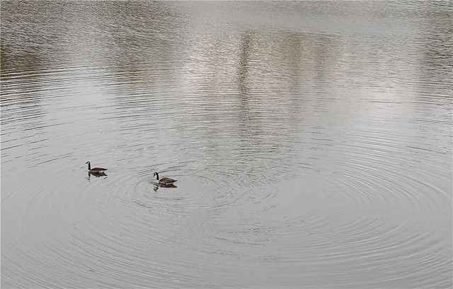 40 GLENALD NW Way, Atlanta, GA 30327