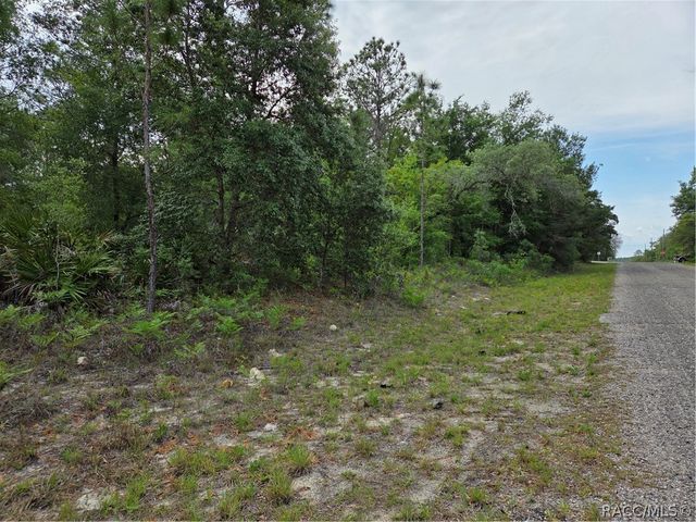 6493 N Matheson Drive, Dunnellon, FL 34434