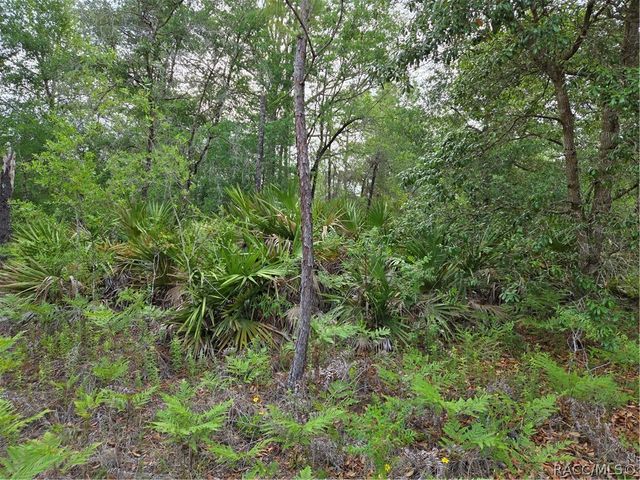 6493 N Matheson Drive, Dunnellon, FL 34434