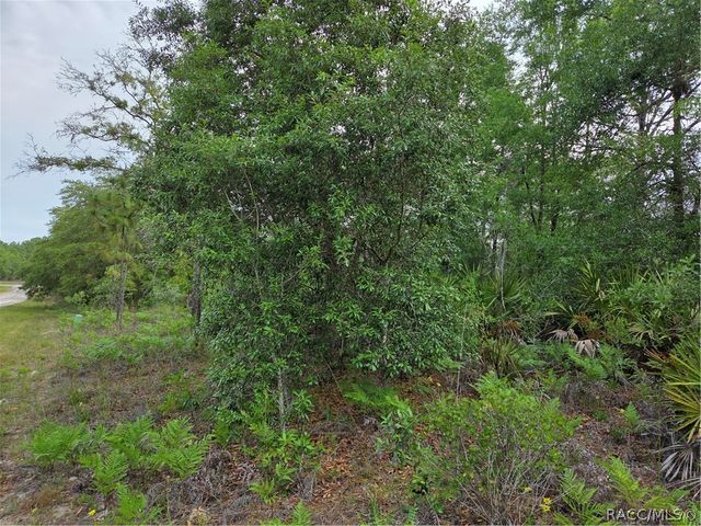 6493 N Matheson Drive, Dunnellon, FL 34434