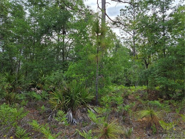 6493 N Matheson Drive, Dunnellon, FL 34434