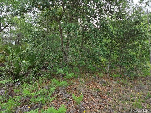 6493 N Matheson Drive, Dunnellon, FL 34434