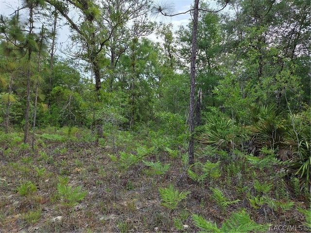 6493 N Matheson Drive, Dunnellon, FL 34434