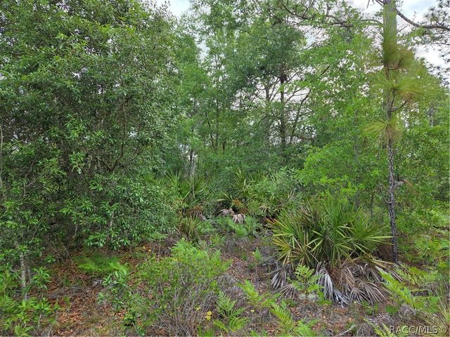 6493 N Matheson Drive, Dunnellon, FL 34434