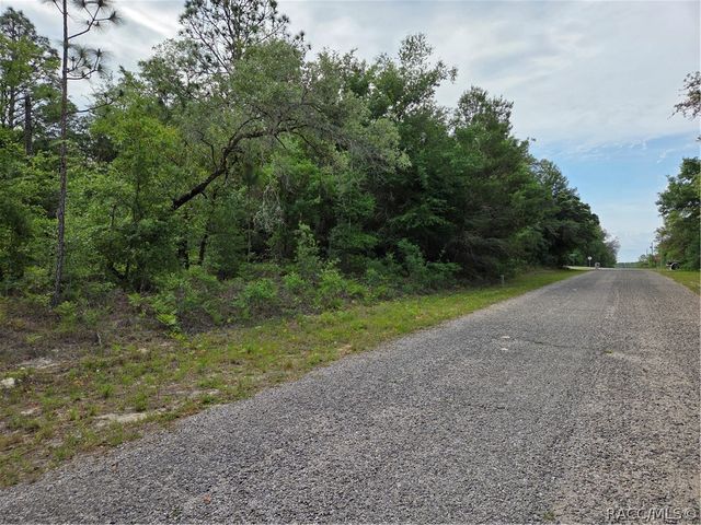 6493 N Matheson Drive, Dunnellon, FL 34434