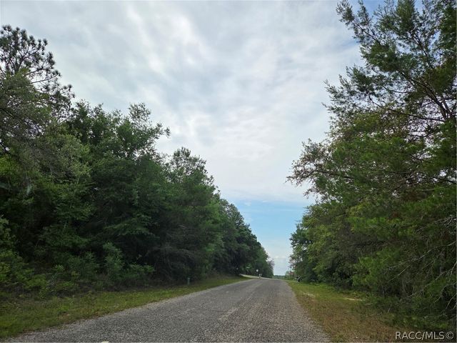6493 N Matheson Drive, Dunnellon, FL 34434