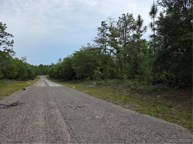 6493 N Matheson Drive, Dunnellon, FL 34434