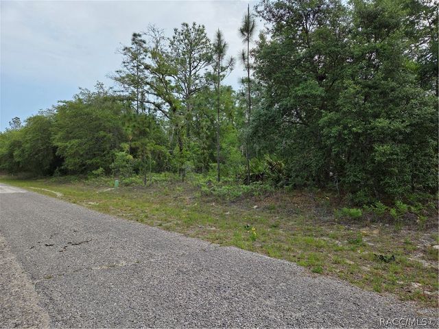 6493 N Matheson Drive, Dunnellon, FL 34434