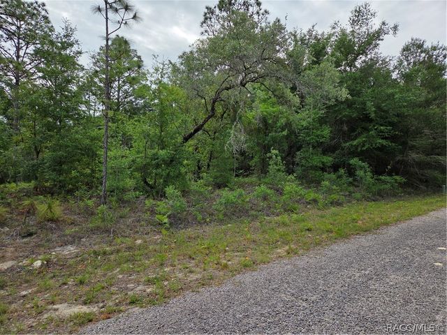 6493 N Matheson Drive, Dunnellon, FL 34434