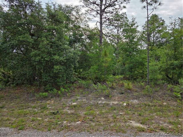 6493 N Matheson Drive, Dunnellon, FL 34434