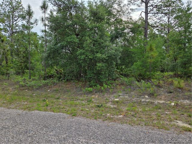 6493 N Matheson Drive, Dunnellon, FL 34434
