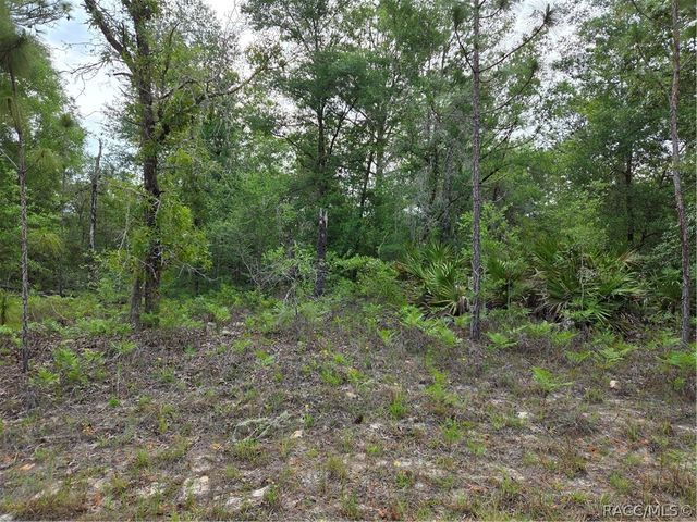 6493 N Matheson Drive, Dunnellon, FL 34434