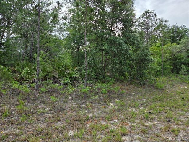 6493 N Matheson Drive, Dunnellon, FL 34434