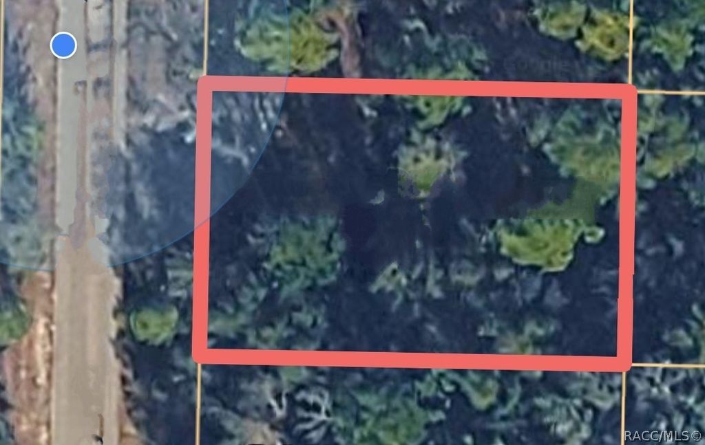 6493 N Matheson Drive, Dunnellon, FL 34434