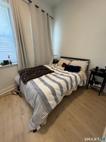 19 Whitney Avenue D, New Haven, CT 06510