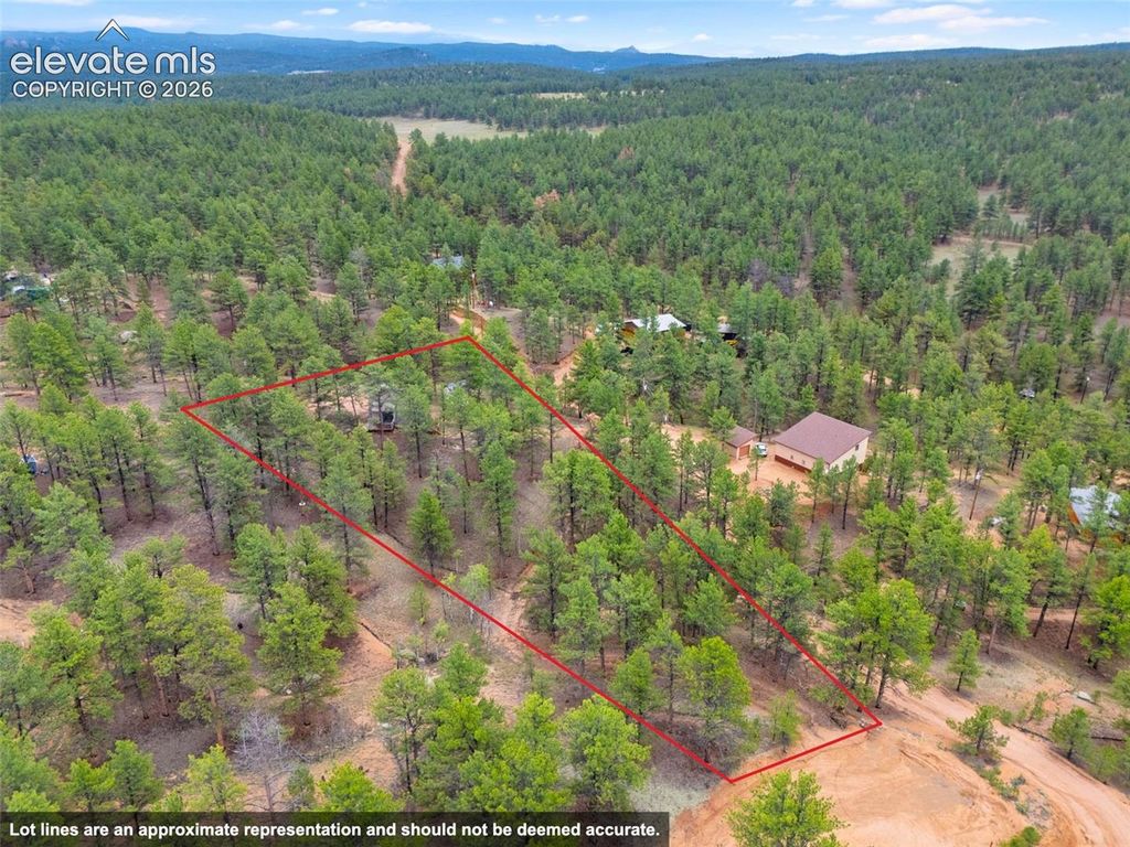 64 Bradshaw Road, Florissant, CO 80816 — photo 4