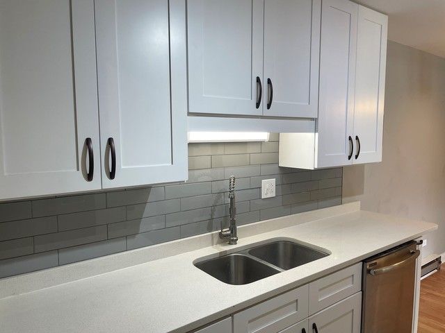 880 E Old Willow Road 166, Prospect Heights, IL 60070