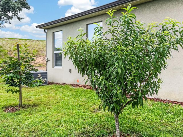 2062 REDBAY AVENUE, Minneola, FL 34715